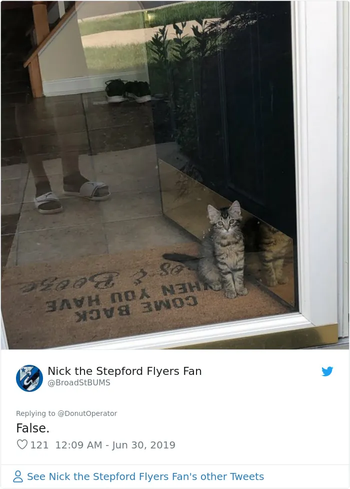 Guy “Tricks” People Into Sending Them Cute Cat Pics