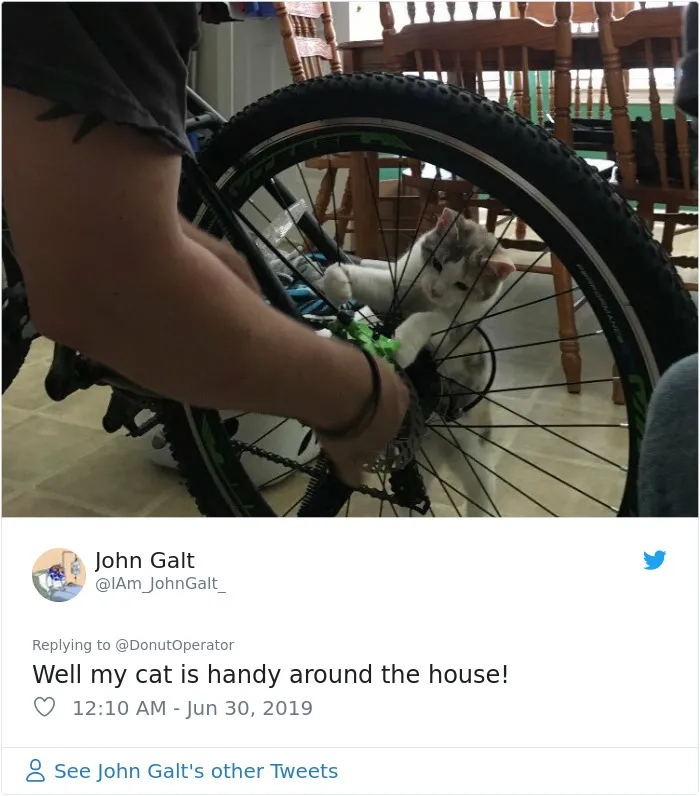 Guy “Tricks” People Into Sending Them Cute Cat Pics