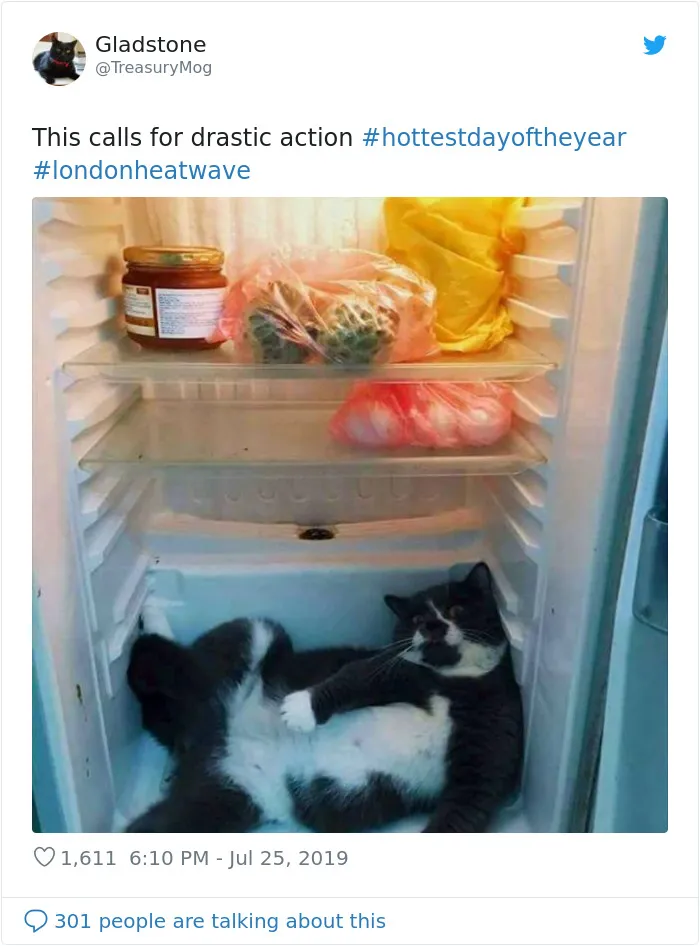 Here's How People In Great Britain Are Reacting To The Record-Breaking Heatwave (32 Pics)