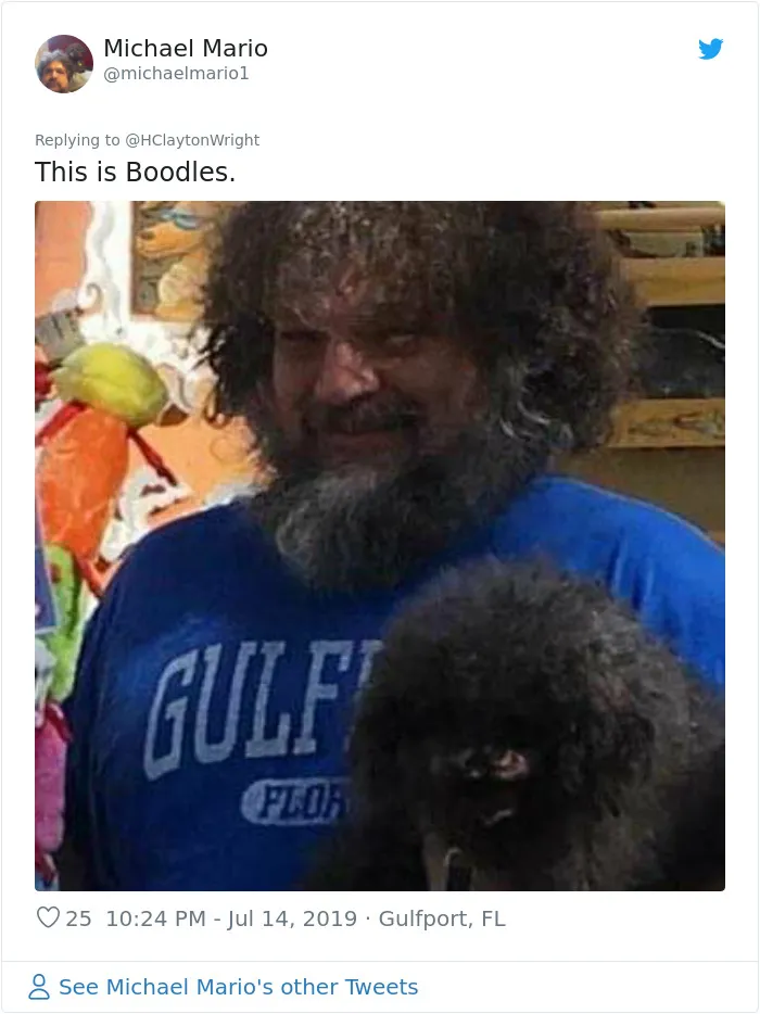 23 People Share Photos Of Themselves And Their Pets And They're Just Too Similar