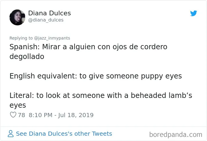 30 People Share Their Favorite Non-English Phrases And Their Literal Meanings