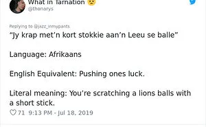 30 People Share Their Favorite Non-English Phrases And Their Literal Meanings