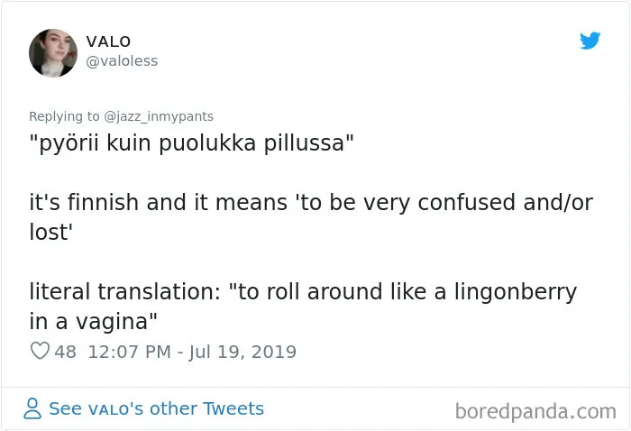 30 People Share Their Favorite Non-English Phrases And Their Literal Meanings