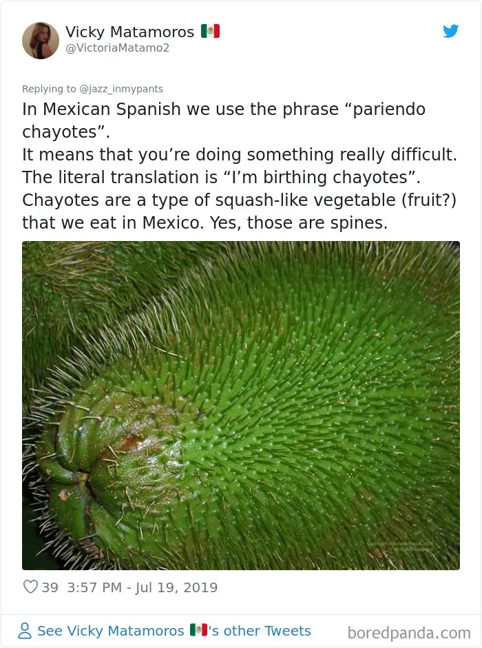 30 People Share Their Favorite Non-English Phrases And Their Literal Meanings