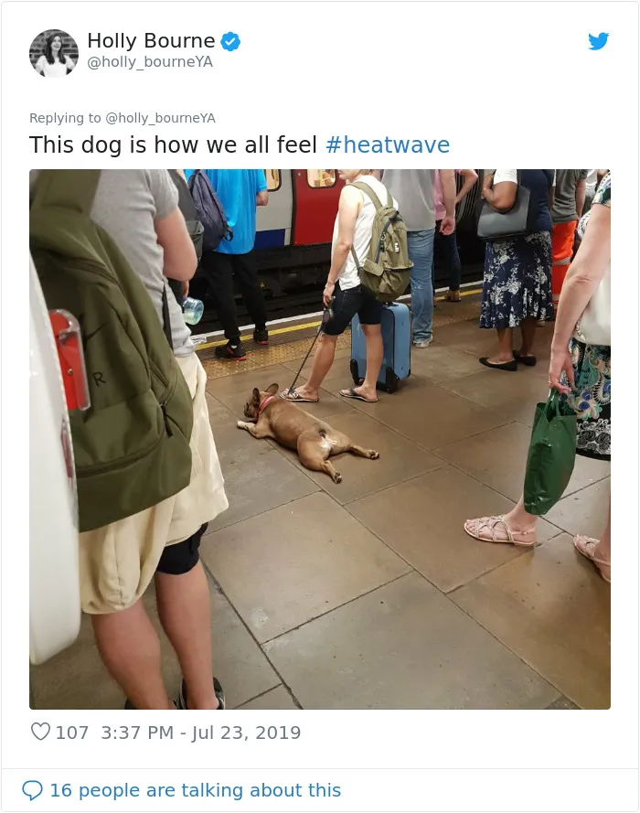 Here's How People In Great Britain Are Reacting To The Record-Breaking Heatwave (32 Pics)