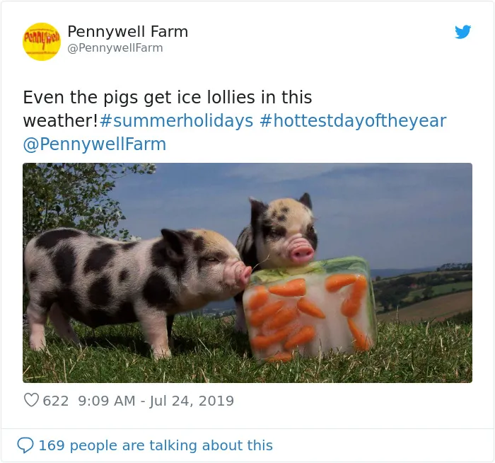 Here's How People In Great Britain Are Reacting To The Record-Breaking Heatwave (32 Pics)