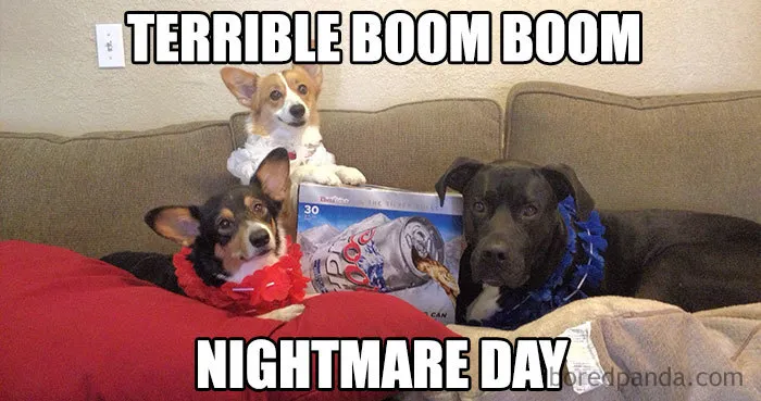 33 Funny 4th of July Memes To Crack You Off Like Fireworks