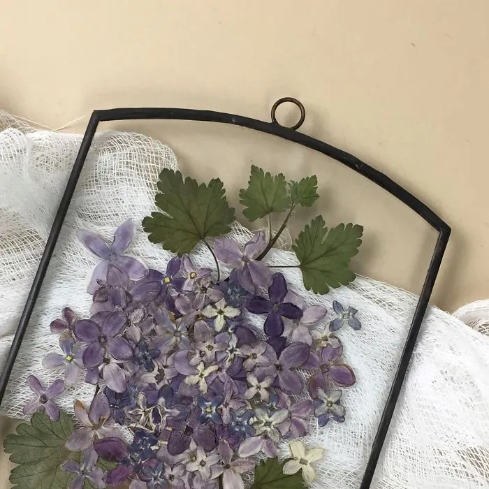 Three Years Ago, I Picked Up A New Hobby Of Making Flower Herbariums And Here Is My Progress So Far (26 Pics)