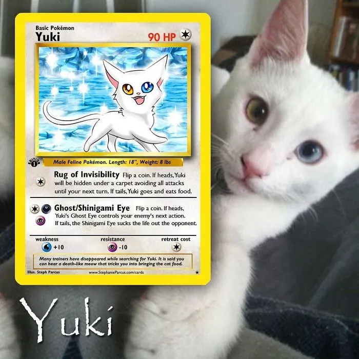 Artist Transforms Pets Into Pokémon Cards (30 Pics)