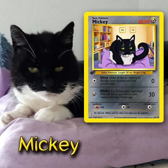 Artist Transforms Pets Into Pokémon Cards (30 Pics)