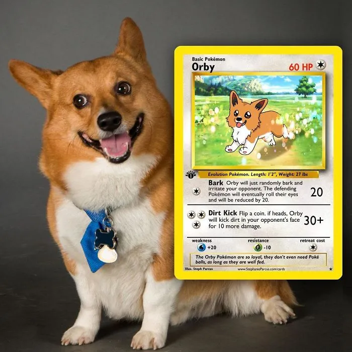 Artist Transforms Pets Into Pokémon Cards (30 Pics)