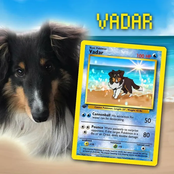 Artist Transforms Pets Into Pokémon Cards (30 Pics)
