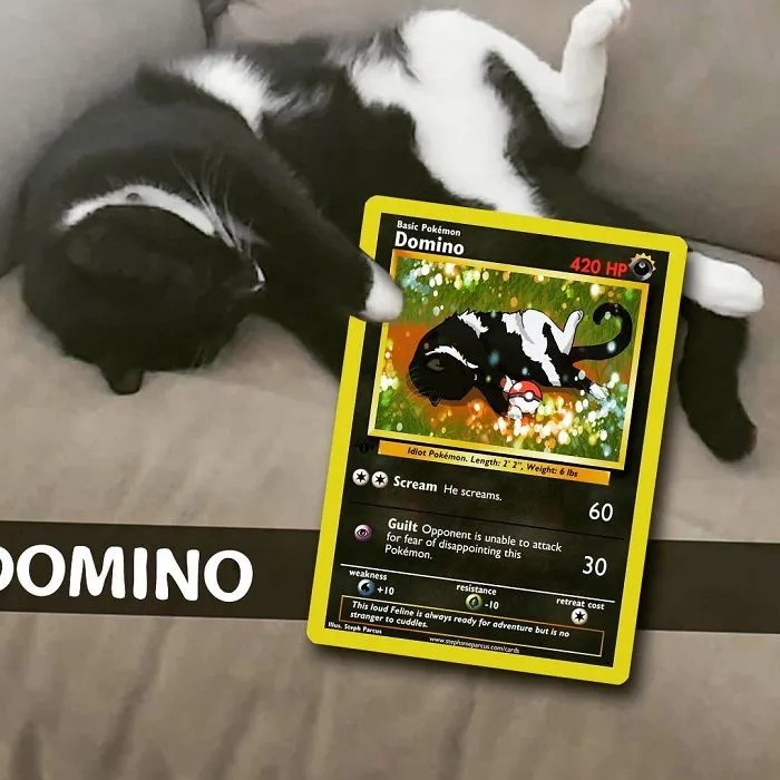 Artist Transforms Pets Into Pokémon Cards (30 Pics)