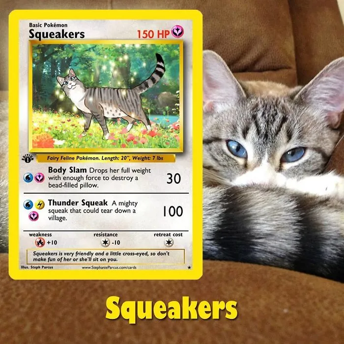 Artist Transforms Pets Into Pokémon Cards (30 Pics)