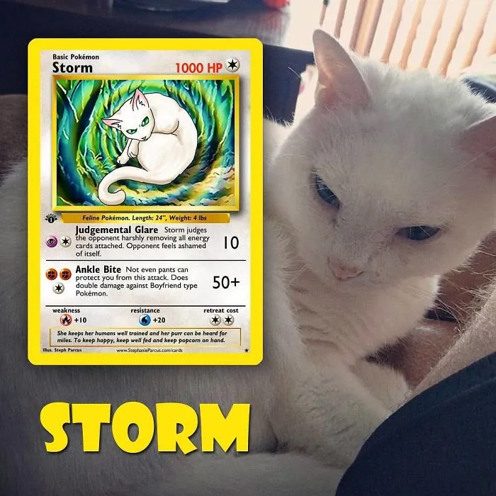 Artist Transforms Pets Into Pokémon Cards (30 Pics)