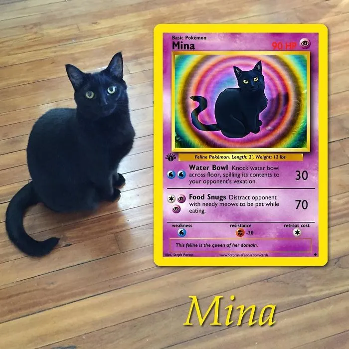 Artist Transforms Pets Into Pokémon Cards (30 Pics)