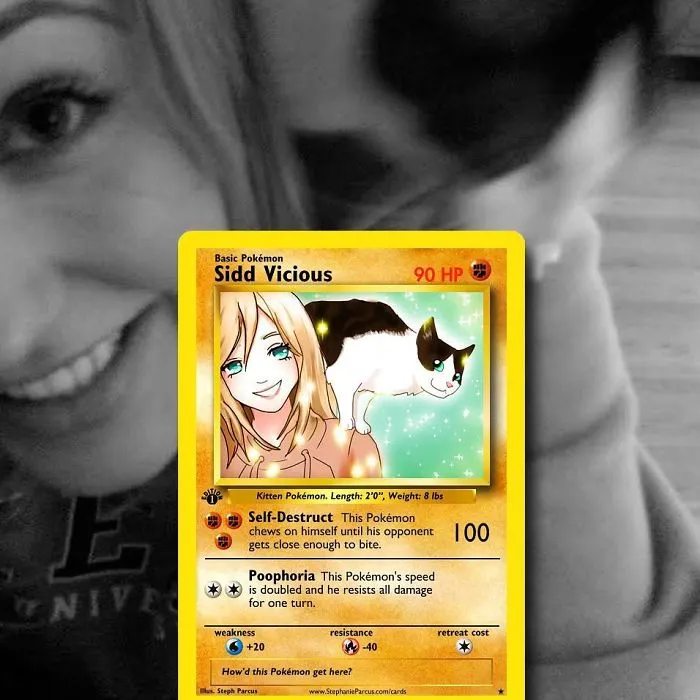 Artist Transforms Pets Into Pokémon Cards (30 Pics)