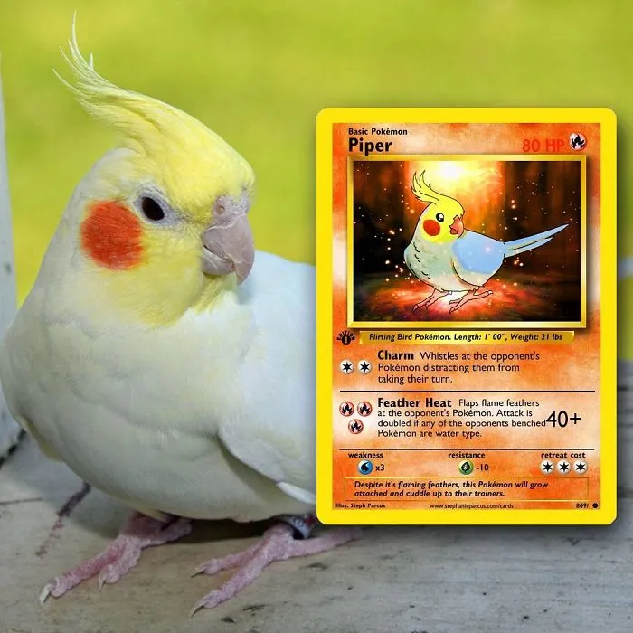 Artist Transforms Pets Into Pokémon Cards (30 Pics)