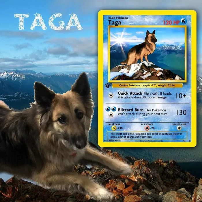 Artist Transforms Pets Into Pokémon Cards (30 Pics)