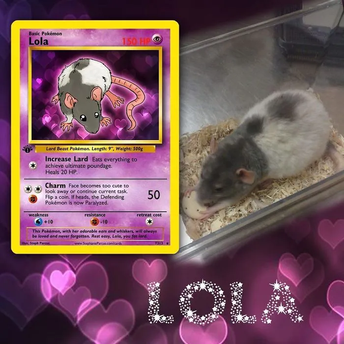 Artist Transforms Pets Into Pokémon Cards (30 Pics)