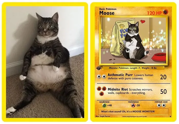 Artist Transforms Pets Into Pokémon Cards (30 Pics)