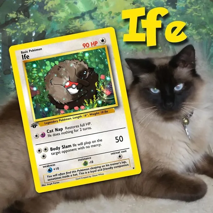 Artist Transforms Pets Into Pokémon Cards (30 Pics)