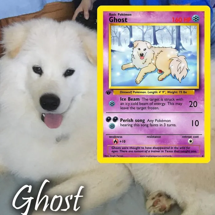 Artist Transforms Pets Into Pokémon Cards (30 Pics)