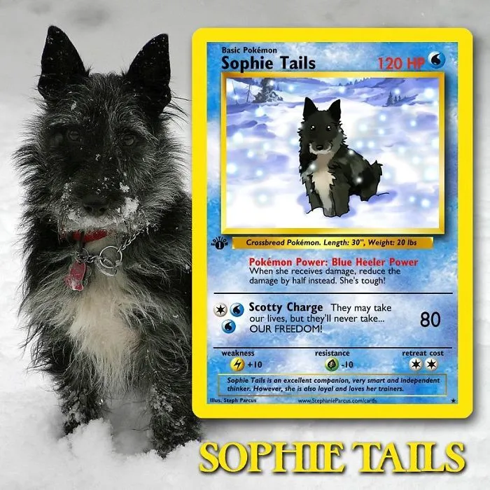 Artist Transforms Pets Into Pokémon Cards (30 Pics)