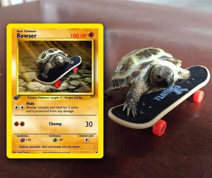 Artist Transforms Pets Into Pokémon Cards (30 Pics)