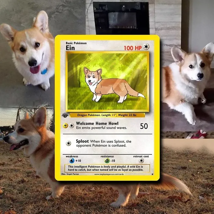 Artist Transforms Pets Into Pokémon Cards (30 Pics)