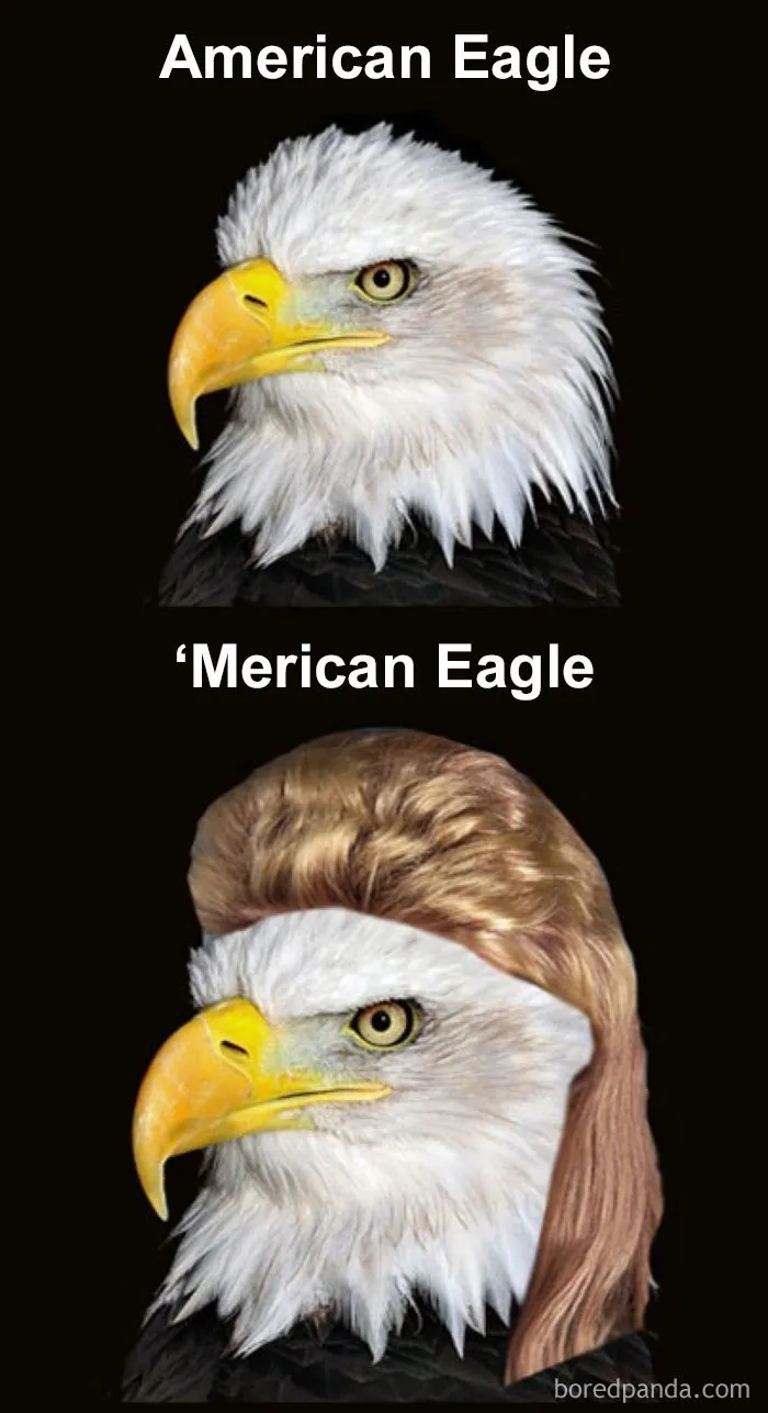 33 Funny 4th of July Memes To Crack You Off Like Fireworks