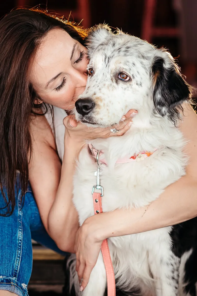 Bellavoyage.dog