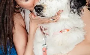 Bellavoyage.dog