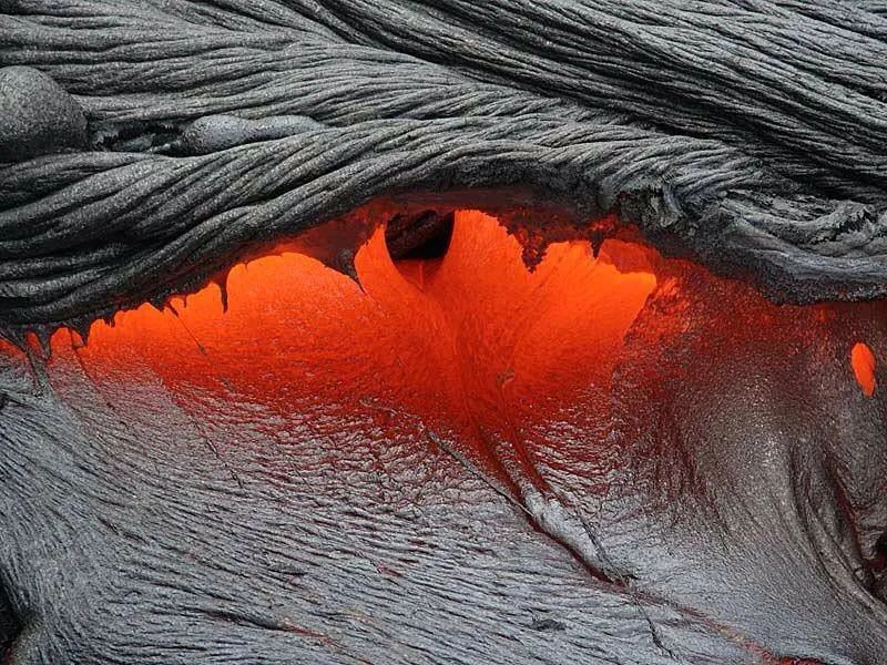 Everything You Can Imagine, Nature Has Already Created.