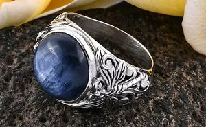 I Was Flattered With These Dragonfly Jewelry Crafted To Perfection!
