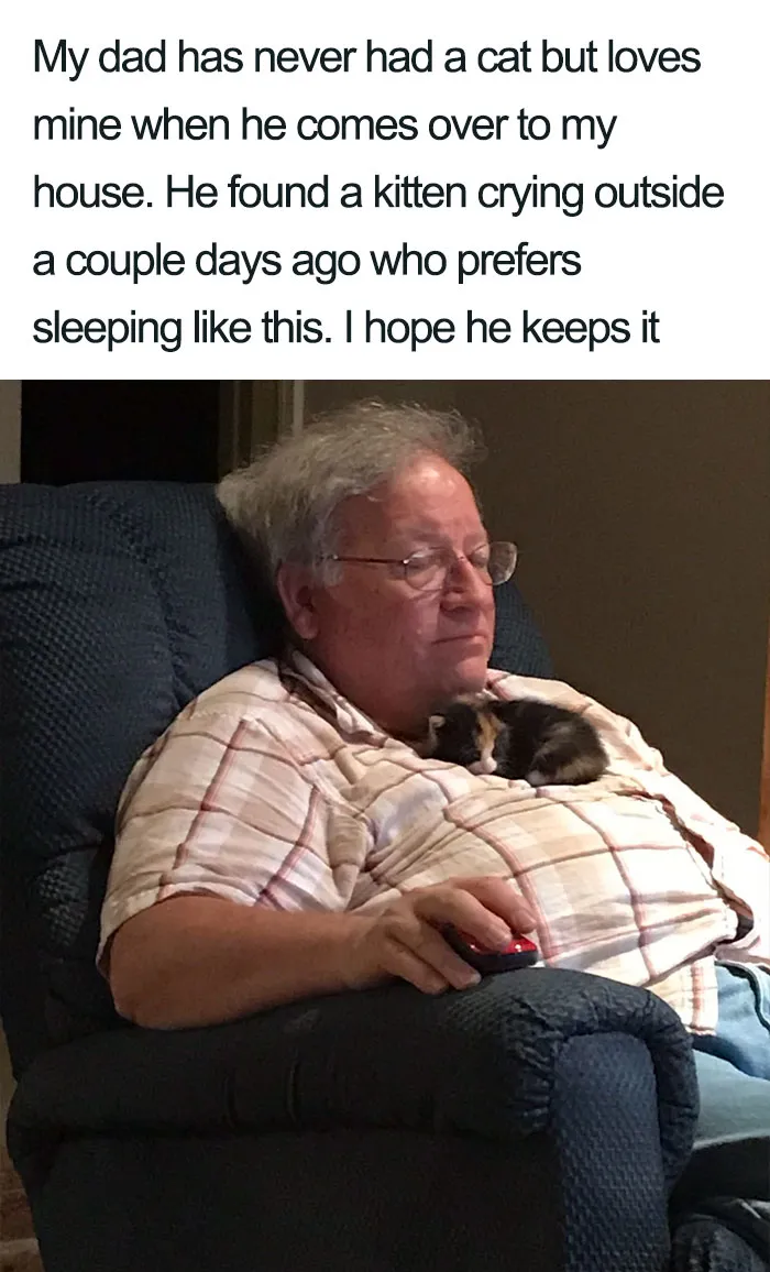 45 Wholesome Cat Posts That Will Hopefully Make Your Day