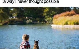45 Wholesome Cat Posts That Will Hopefully Make Your Day