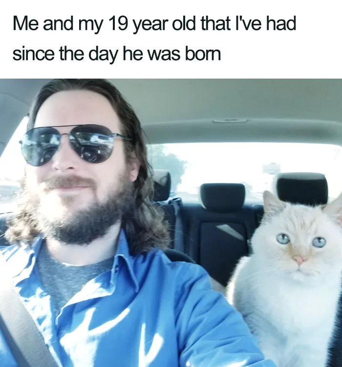 45 Wholesome Cat Posts That Will Hopefully Make Your Day