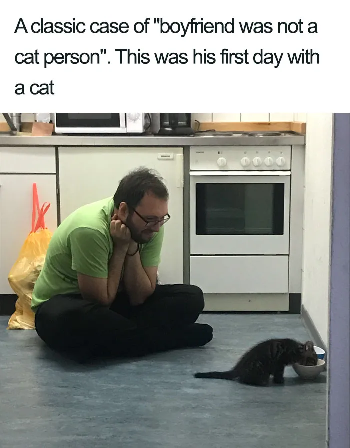 45 Wholesome Cat Posts That Will Hopefully Make Your Day