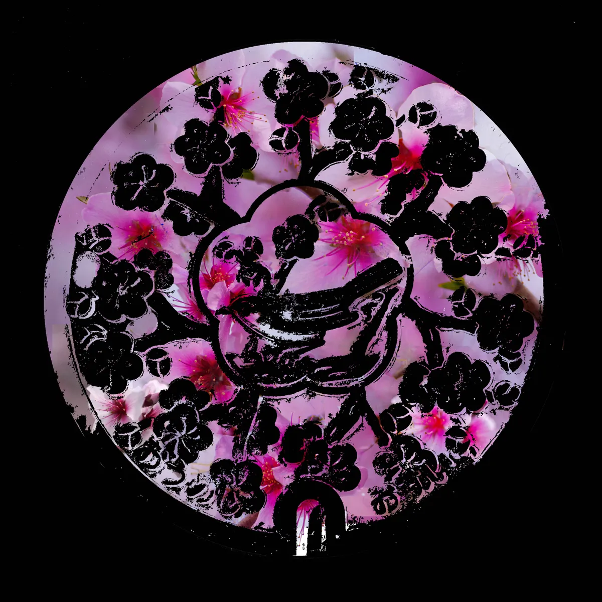 Manhole Covers Of Japan