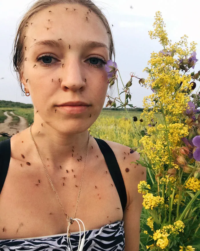 Verano en Siberia