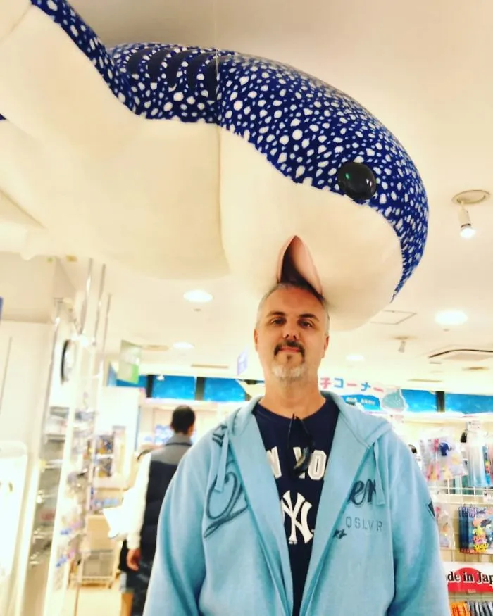 Cebo para tiburones
