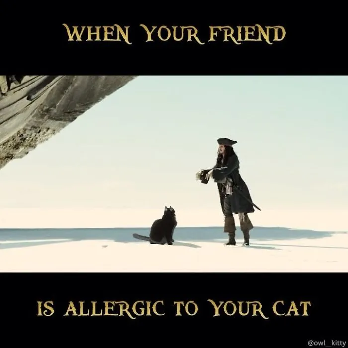 This Guy Improves Hollywood Movies By Editing His Cat Into Them And The Result Is Hilarious