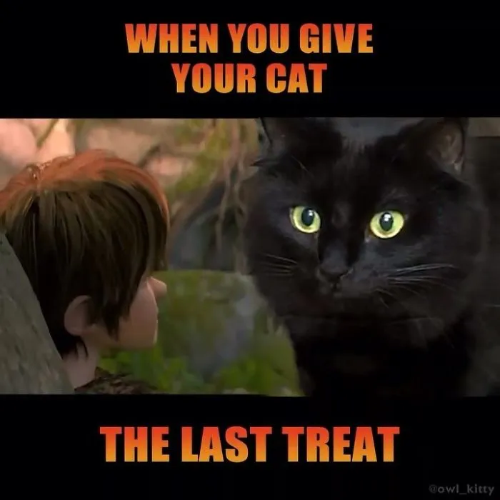 This Guy Improves Hollywood Movies By Editing His Cat Into Them And The Result Is Hilarious