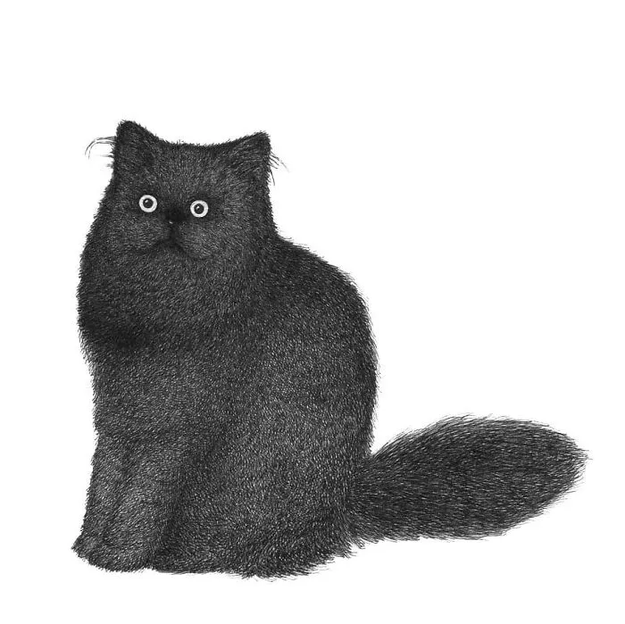 A fluffy black cat with big eyes sitting, illustrating the artist's unique drawing style for animals.