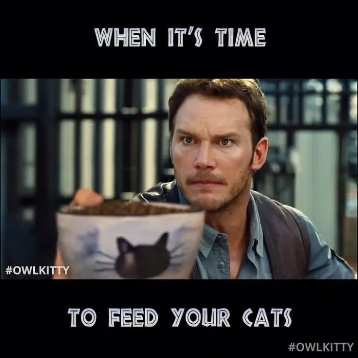 This Guy Improves Hollywood Movies By Editing His Cat Into Them And The Result Is Hilarious