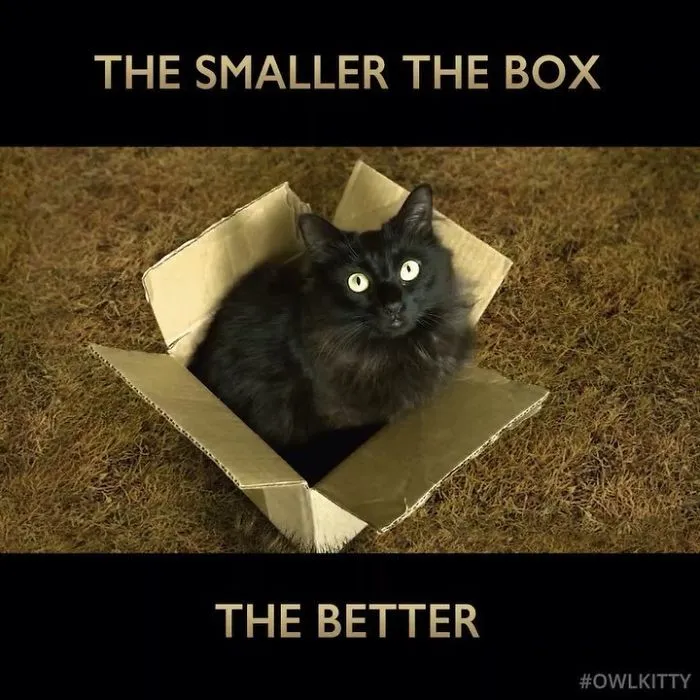 This Guy Improves Hollywood Movies By Editing His Cat Into Them And The Result Is Hilarious