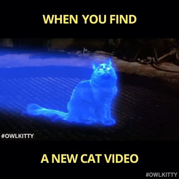 This Guy Improves Hollywood Movies By Editing His Cat Into Them And The Result Is Hilarious