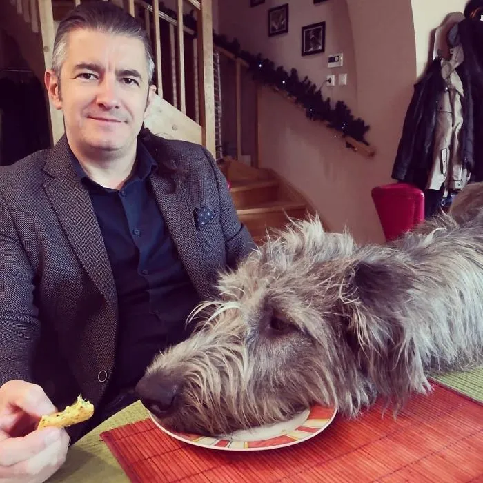 Dog-Head Is Served. Enjoy Your Meal!