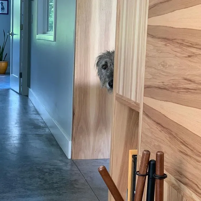 Ever Get The Feeling Someone’s Watching You?